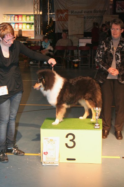 pup 3.jpg